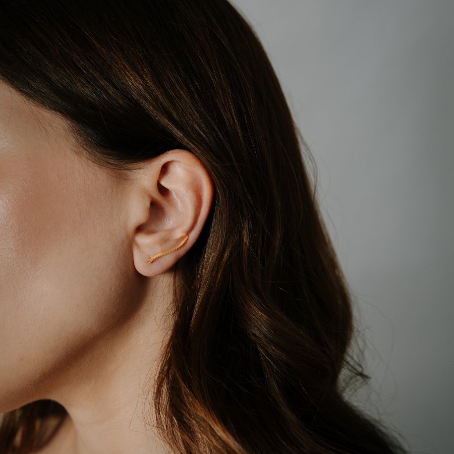 Golden Swift Silver Earrings - Indira