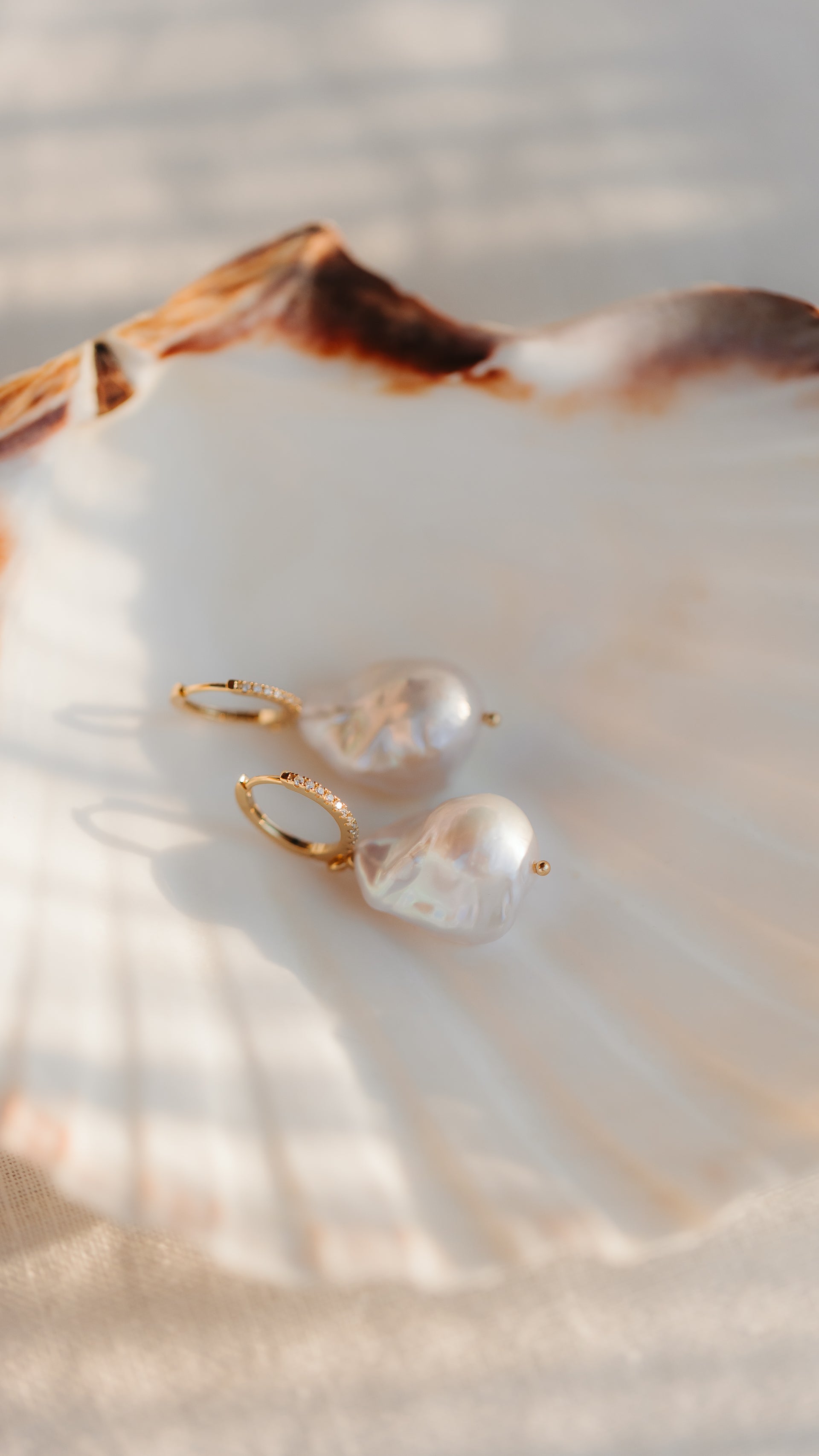 Gold-plated 925 silver hoop earrings with large baroque pearls, elegantly styled on a scallop shell in warm natural light.