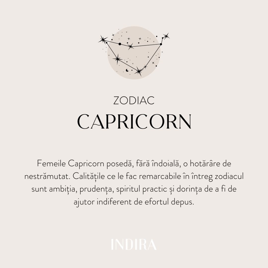 Silver Zodiac Necklace - Capricorn - Indira