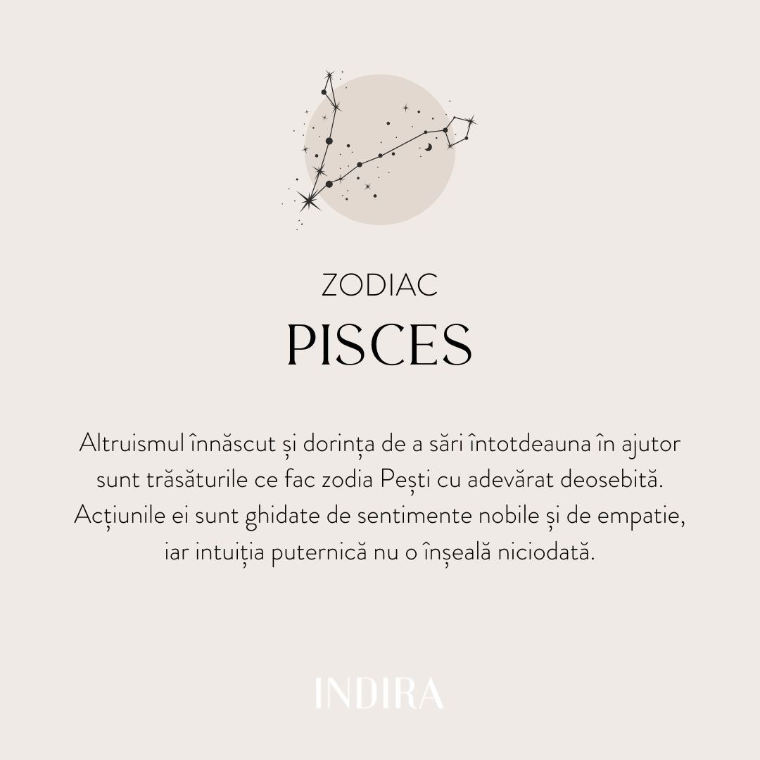 Silver Zodiac Necklace - Pisces - Indira